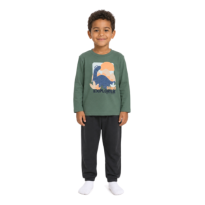 Conjunto Moletom Dino Verde